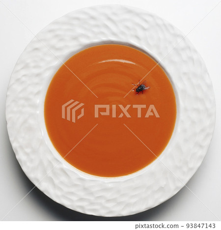 fly in soup 93847143
