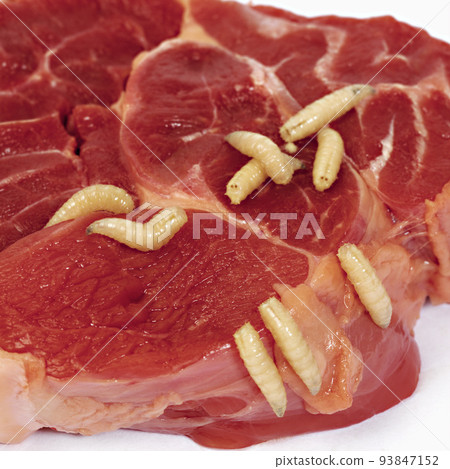 tainted meat tainted meat 93847152