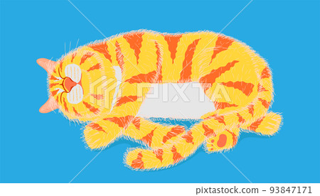 cat sleeping on pastel blue color background. vector illustration eps10 93847171