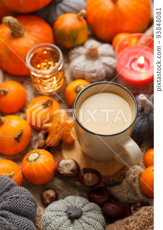 Mug of cocoa or hot chocolate with seasonal decoration Mug of cocoa or hot chocolate with seasonal decoration 93848081