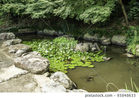鳥取縣鳥取市神池宇部神社 鳥取縣鳥取市神池宇部神社 93848633