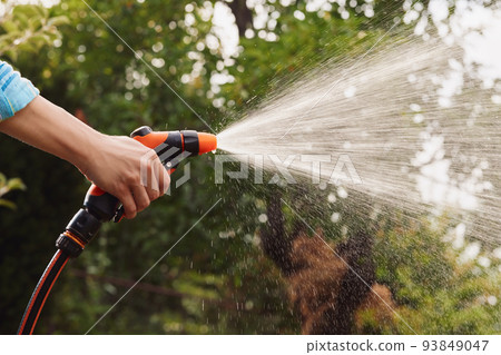 woman watering plant in garden in summer 93849047