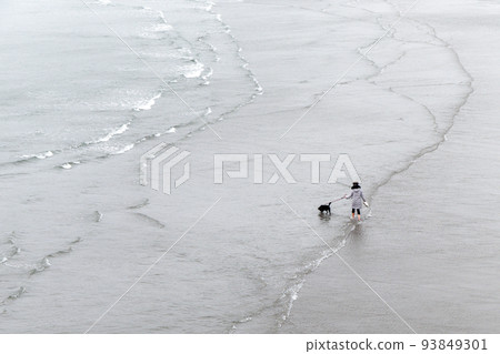 A girl walks with her dog along the seashore, aerial view. The owner and his pet are walking on the waves. 93849301