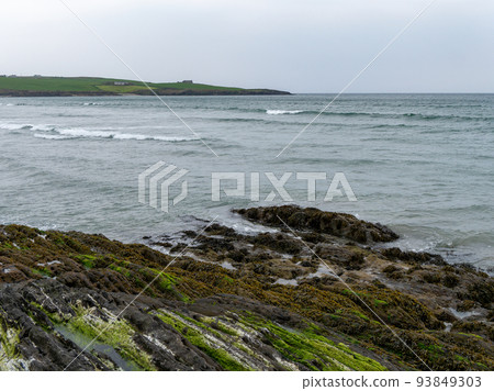 Algae-covered rocks on the shore of Clonakilty Bay in cloudy weather. 93849303
