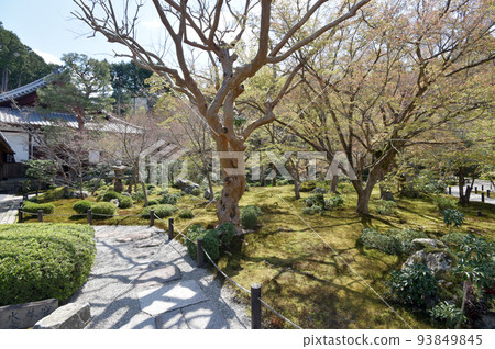 京都左京區圓光寺花園一乘寺 93849845