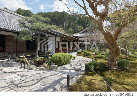 京都市左京區圓光寺庭園和松陰一乘寺 93849891