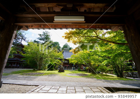 Looking at the main hall from inside the main gate of Kaijusenji Temple Looking at the main hall from inside the main gate of Kaijusenji Temple 93849957