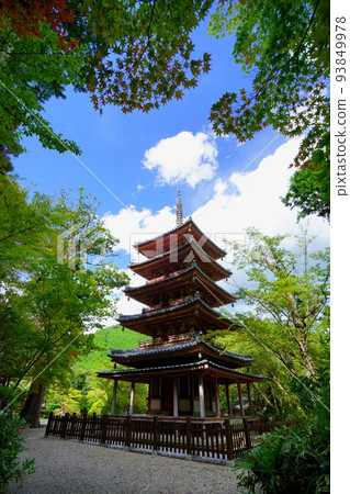 Kaijusen-ji Temple,國寶五層寶塔,夏末秋雲清新 Kaijusen-ji Temple,國寶五層寶塔,夏末秋雲清新 93849978