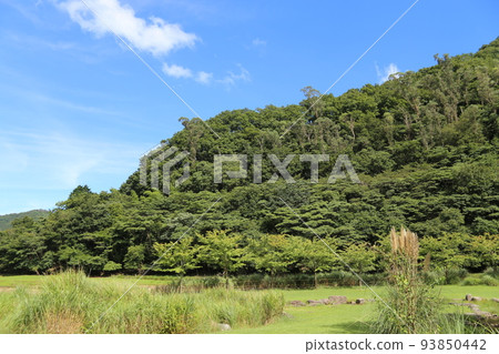 松川湖的薄木 93850442