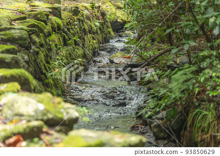茨城縣日立市小木山自然公園 93850629