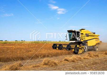 yellow combine harvester cutting coriander plants on field 93851630