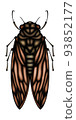 Cicadas 93852177