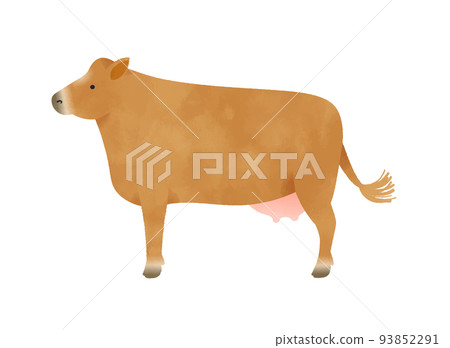 Jersey cattle Jersey cattle 93852291