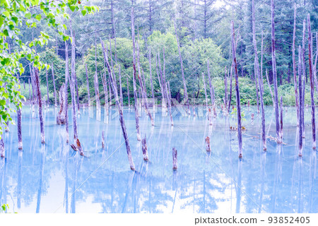 Biei Blue Pond 93852405