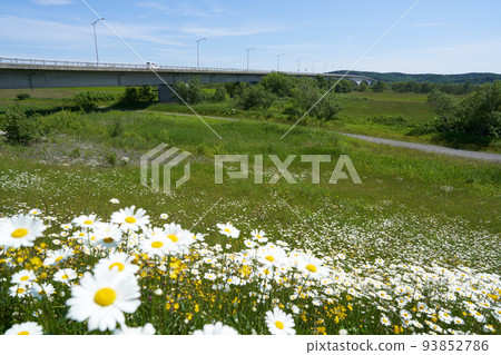 Tokachi Kawaguchi Bridge seen from the Tokachi Riverbed in midsummer when flowers are in full bloom Tokachi Kawaguchi Bridge seen from the Tokachi Riverbed in midsummer when flowers are in full bloom 93852786