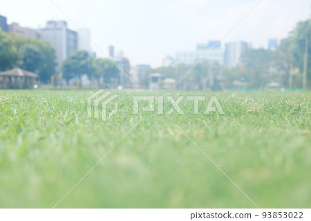 Lawn Lawn 93853022
