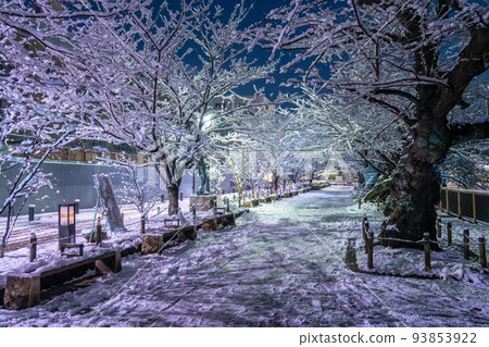 《Tokyo》Tokyo in heavy snow, Chidorigafuchi in snow 《Tokyo》Tokyo in heavy snow, Chidorigafuchi in snow 93853922