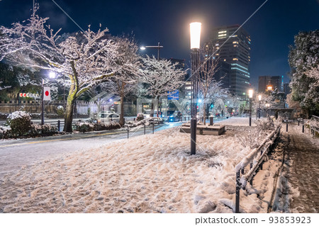 "Tokyo" Tokyo in heavy snow, Yasukuni street in snow 93853923