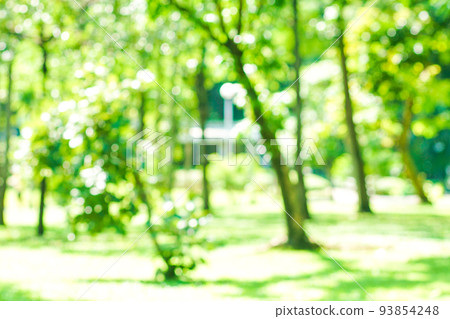 Abstract blurred green city park with tree bokeh 93854248