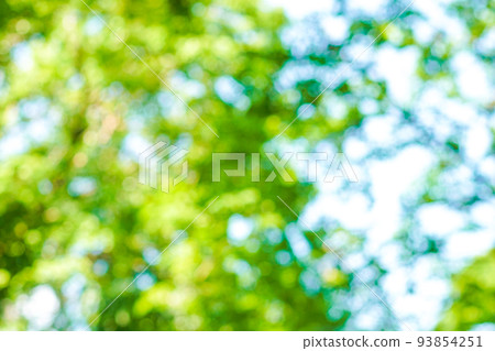 Abstract blurred green city park with tree bokeh 93854251