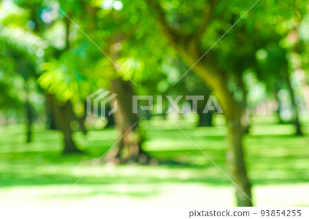 Abstract blurred green city park with tree bokeh 93854255