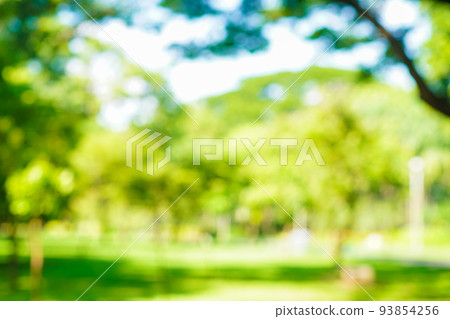 Abstract blurred green city park with tree bokeh 93854256