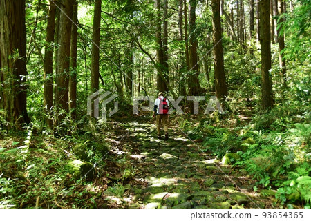 箱根町箱根舊高速公路鵝卵石和徒步旅行者 93854365