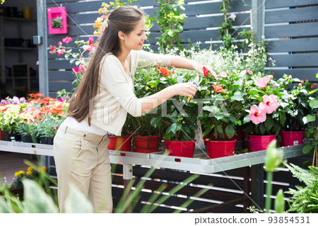 young lovely saleswoman in flower shop 93854531
