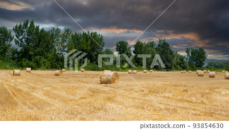 The beginning of a thunderstorm over a field of harvested wheat in bright colors 93854630
