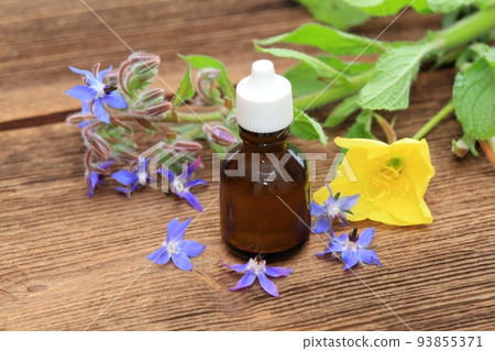 Borago officinalis with Oenothera biennis seed oil in bottle on brown wooden table. 93855371