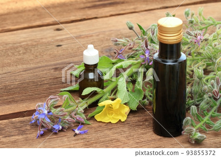 Borago officinalis with Oenothera biennis seed oil in bottle on brown wooden table 93855372