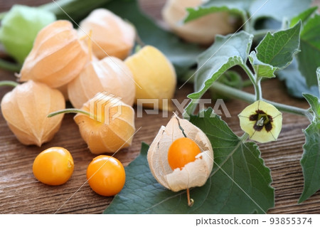 Ripe fruits and flower of Physalis peruviana on the table 93855374