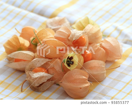 Ripe fruits and flower of Physalis peruviana on the cloth Ripe fruits and flower of Physalis peruviana on the cloth 93855377