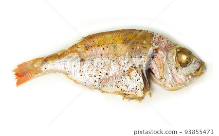 Grilled fish top view and close up. Healthy baked sea food for lunch. Cooking fried meal. Grilled fish top view and close up. Healthy baked sea food for lunch. Cooking fried meal. 93855471
