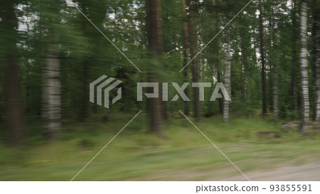 Side view driving plate through pine forest late summer Side view driving plate through pine forest late summer 93855591