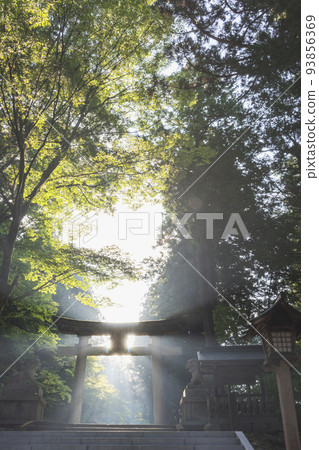 211008 日枝神社 z021 93856369