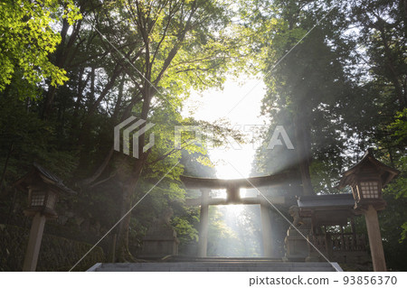 211008 Hie Shrine z019 93856370