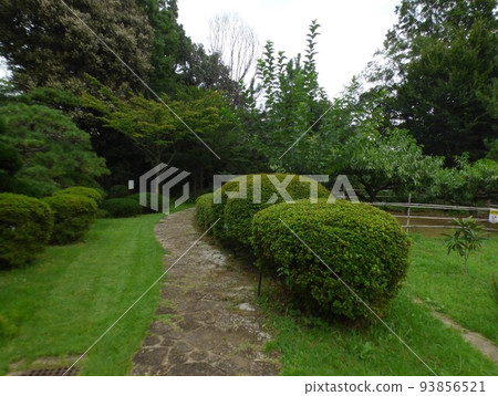 川崎市綠化中心、宿河原站、南部線、植物園、草坪廣場、盆景展示館、溫室、熱帶植物、2020年8月 93856521