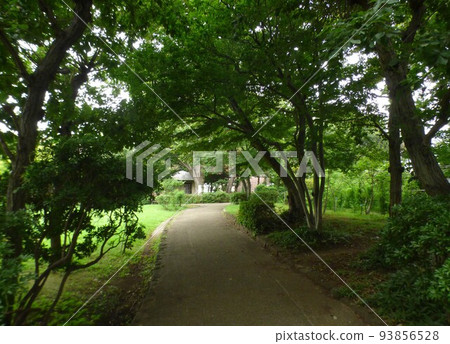 川崎市綠化中心、宿河原站、南部線、植物園、草坪廣場、盆景展示館、溫室、熱帶植物、2020年8月 川崎市綠化中心、宿河原站、南部線、植物園、草坪廣場、盆景展示館、溫室、熱帶植物、2020年8月 93856528
