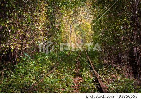 Famous landscape called Tunnel of Love, Ukraine. Railway with natural tunnel in autumn. Magical autumn landscape. Railroad in autumn woods. Bright tree foliage with arch form. Rail transportation. 93856555