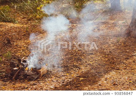 Sunny day in autumn forest. Fire camp with smoke in the wood. Colorful autumn nature. Idyllic camping. The fall season. Flame and smoke on forest landscape background. Walking in park. Sunny day in autumn forest. Fire camp with smoke in the wood. Colorful autumn nature. Idyllic camping. The fall season. Flame and smoke on forest landscape background. Walking in park. 93856847