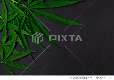 Cannabis leaves on black stone background with copy space, Cannabis leaves on black stone background with copy space, 93856928