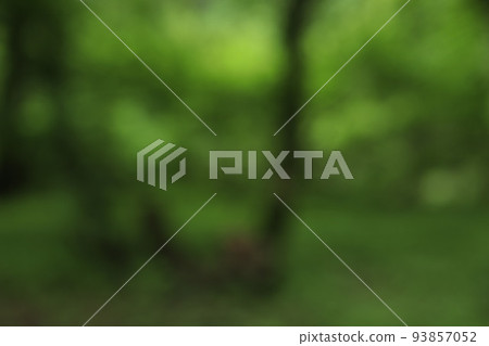 Colors and silhouettes of summer forest 93857052