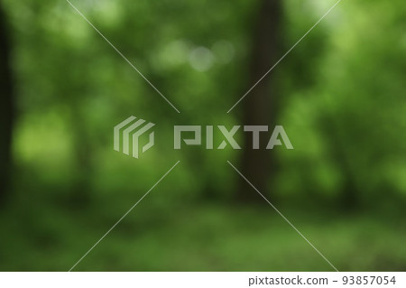 Colors and silhouettes of summer forest Colors and silhouettes of summer forest 93857054