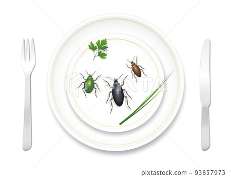 Eating bugs, insects, beetles. Noble fine porcelain crockery nicely prepared with three tasty bugs and healthy herbs. Delicious or disgusting meal. Vector illustration on white background.  93857973