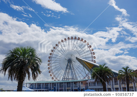 度假村棕櫚樹和摩天輪 度假村棕櫚樹和摩天輪 93858737