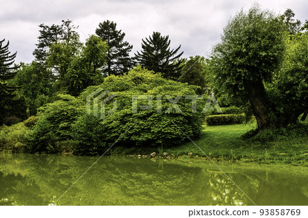 Plants around lake in Polish park - Zelazowa Wola Plants around lake in Polish park - Zelazowa Wola 93858769