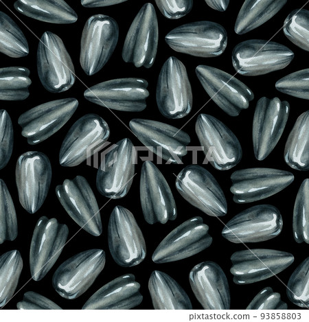 Sunflower seeds seamless pattern. Watercolor illustration. Isolated on a black background. 93858803
