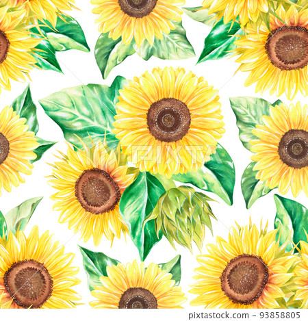 Sunflowers seamless pattern. Watercolor illustration. Isolated on a white background. Sunflowers seamless pattern. Watercolor illustration. Isolated on a white background. 93858805