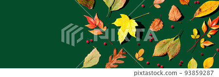 Colorful autumn leaves overhead view Colorful autumn leaves overhead view 93859287